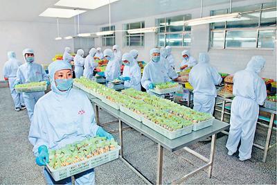 寵物食品出口“重鎮(zhèn)”悄然崛起