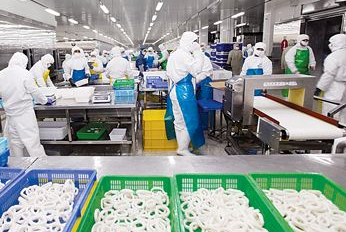 開辦食品加工廠的準(zhǔn)備工作