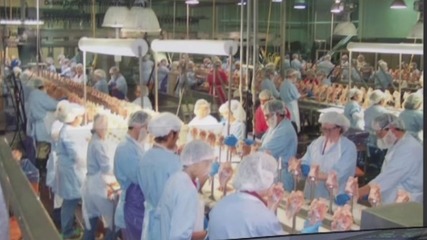 美國食品加工廠為何成為疫情重災(zāi)區(qū) 生產(chǎn)環(huán)節(jié)的挑戰(zhàn)與風(fēng)險(xiǎn)