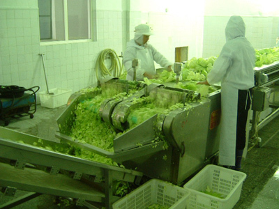 舊食品生產(chǎn)線設(shè)備荊門進(jìn)口報(bào)關(guān)與水產(chǎn)品收購流程解析