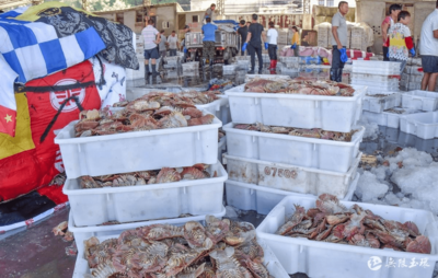 玉環(huán)全力迎戰(zhàn)“利奇馬” 水產(chǎn)品收購緊鑼密鼓