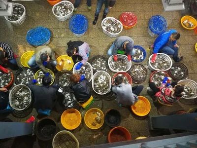 舟山梭子蟹價格飆升至250元一斤，市場行情堪比春節高峰