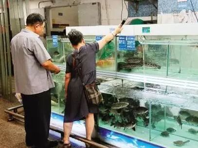 佛山淡水鮮活水產品質量安全監管升級加碼，筑牢產地到餐桌的“防火墻”