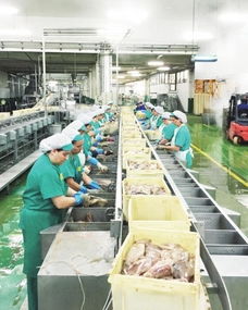 上海水產集團 全產業鏈布局，從漁場到市場的品質保障